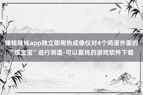 赌钱赚钱app独立即用热成像仪对4个鸡蛋外面的“暖宝宝”进行测温-可以赢钱的游戏软件下载